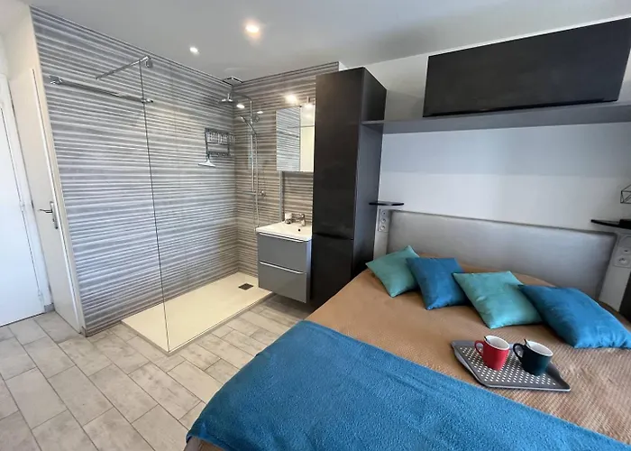 Appartement 2 Couchage Cap D'agde Naturisme Cn040-742